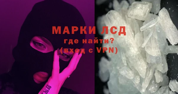 PSILOCYBIN Нефтекумск