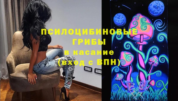 PSILOCYBIN Нефтекумск