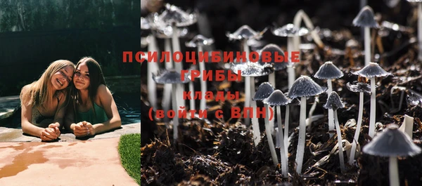 PSILOCYBIN Нефтекумск